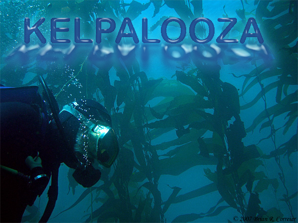 Kelpalooza