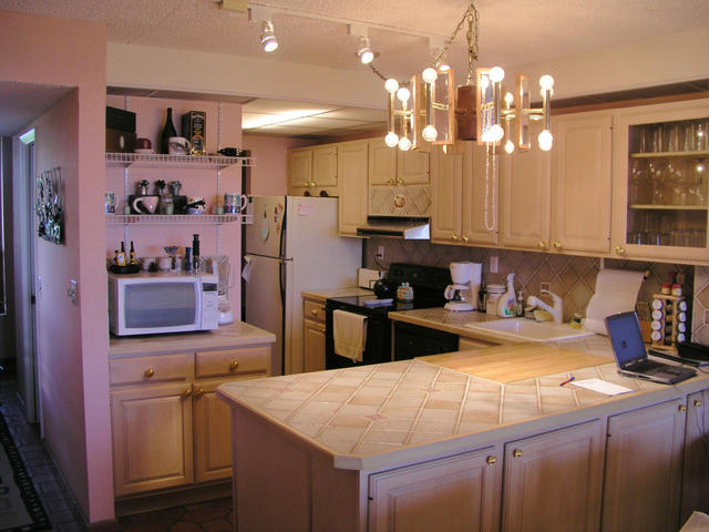 Looking into Kitchen