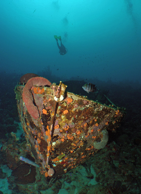 Wreck in front of Divi Resort