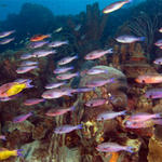 Bonaire_08_D-1_082_edited-1