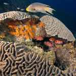 Bonaire_08_D-1_038_edited-1