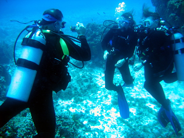 Me taking pictures of the girls and critters, that's what I do on a diving vacation.
Besides this one.. All Pictures taken with