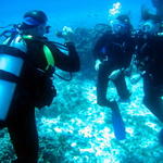 Cozumel  (June 04) The Whole Family Goes Diving.
7 "nested" albums