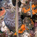 Bonaire_08_D-1_079_edited-1