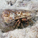 Bonaire_08_D-1_170_edited-1