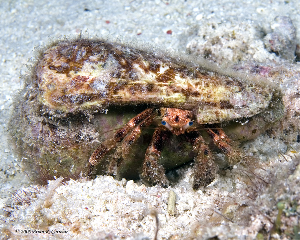 Bonaire_08_D-1_171_edited-1