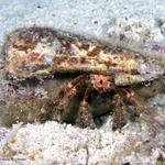 Bonaire_08_D-1_171_edited-1