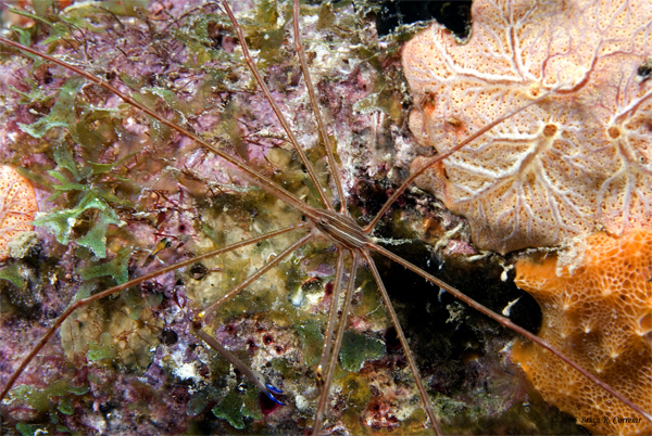 Bonaire_08_D-1_174_edited-1