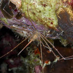 Bonaire_08_D-1_182_edited-1