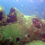 Diving "The Pinnacle" & "The Hellcat"
