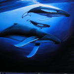 Wyland BTS Whales 5