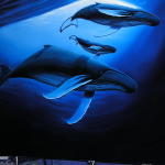 Wyland BTS Whales 9