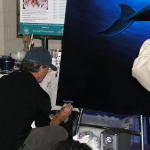 Wyland Whales Sig