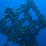 Mast of the Eagle Wreck - Islamorada