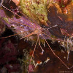 Bonaire_08_D-1_181_edited-2