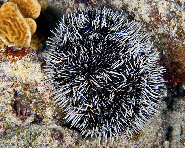 Bonaire_08_D-1_266_edited-1