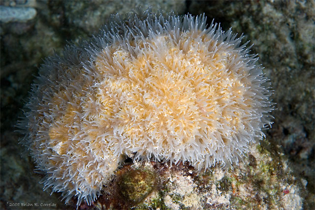 Bonaire_08_D-1_247_edited-1