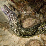 Bonaire_08_D-1_218_edited-1