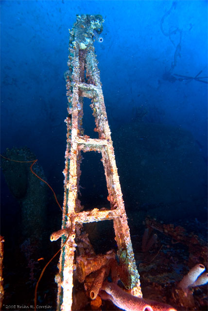 Bonaire_2008_D-4_023_edited