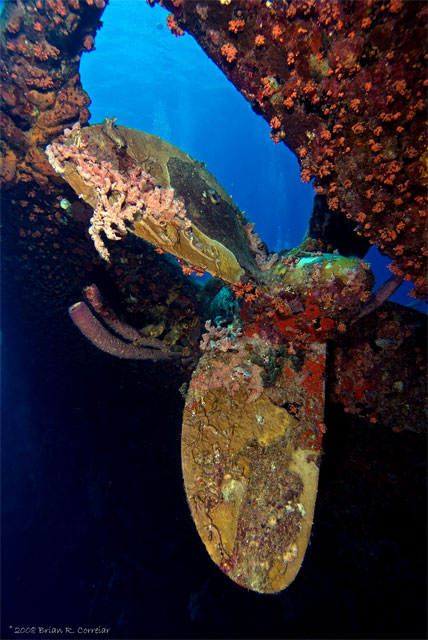 Bonaire_2008_D-4_038_edited