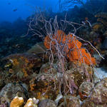 Bonaire_08_D-1_049_edited-1