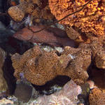 Bonaire_08_D-1_080_edited-1