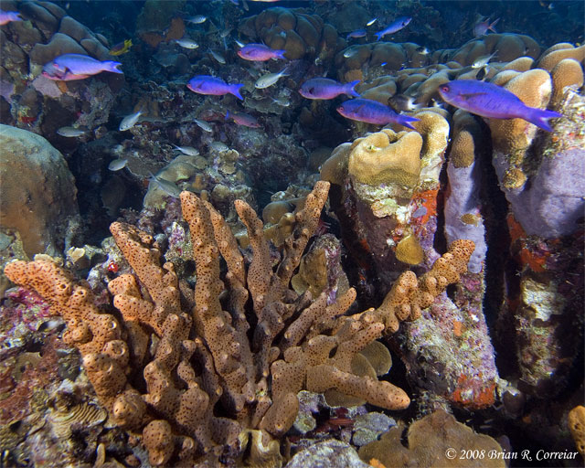 Bonaire_08_D-1_091_edited-1