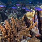 Bonaire_08_D-1_091_edited-1