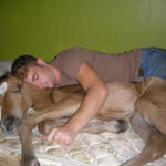 Pony nap picture