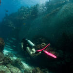 9-27-09-Cayman_0036