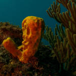 9-27-09-Cayman_0069-