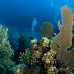 Cayman-09-28-09_0086