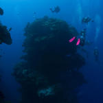 Cayman-09-28-09_0094