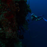 Cayman_0289