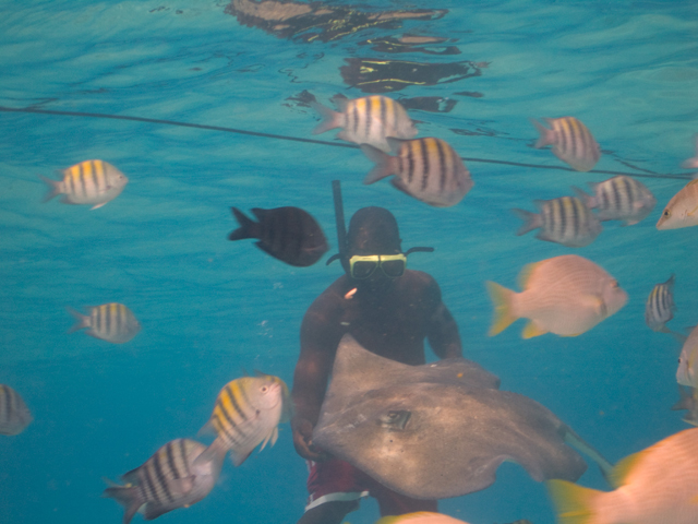 Cayman-Stingray-City_0387