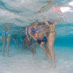 Cayman-Stingray-City_0410