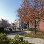 Naperville_11-09066_edited-