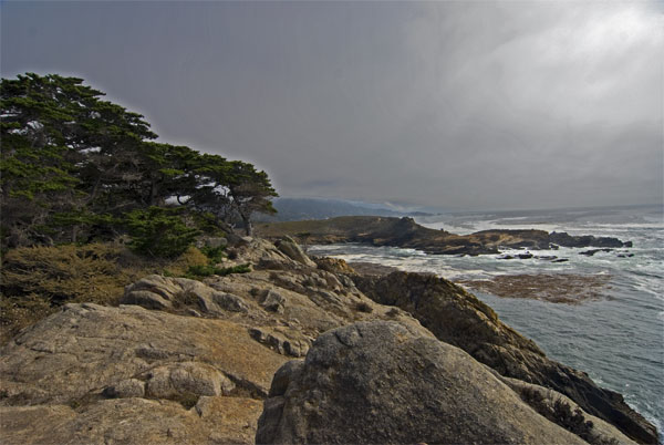 Pt-Lobos-Topside009_edited-