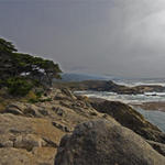 Pt-Lobos-Topside009_edited-