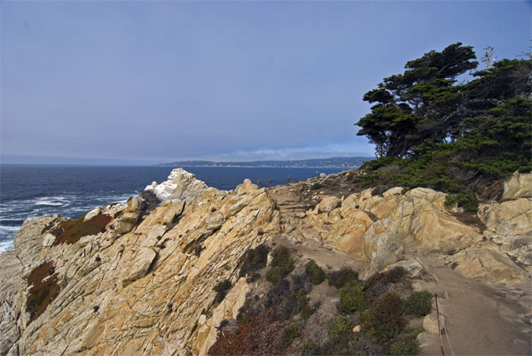 Pt-Lobos-Topside011_edited-