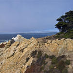 Pt-Lobos-Topside011_edited-