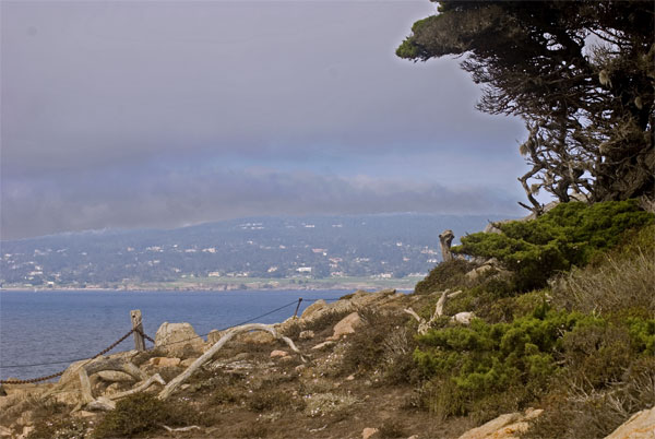 Pt-Lobos-Topside014_edited-