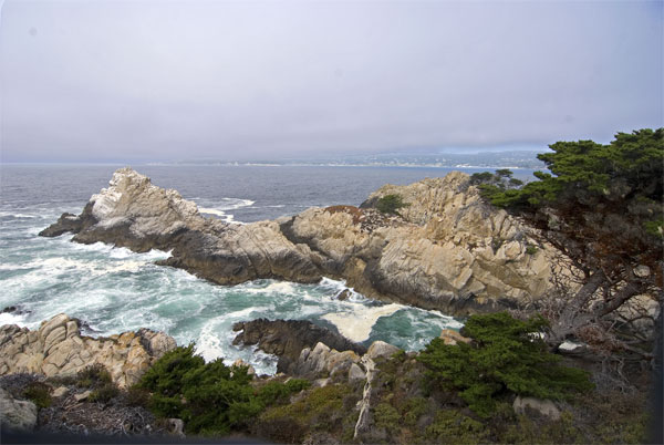 Pt-Lobos-Topside030_edited-