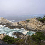 Pt-Lobos-Topside030_edited-