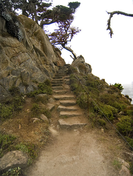 Pt-Lobos-Topside032_edited-