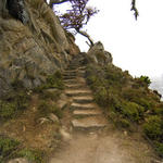 Pt-Lobos-Topside032_edited-