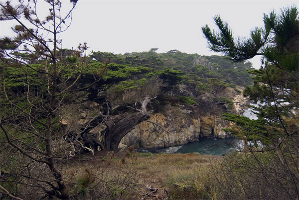 Pt-Lobos-Topside044_edited-