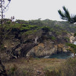 Pt-Lobos-Topside044_edited-