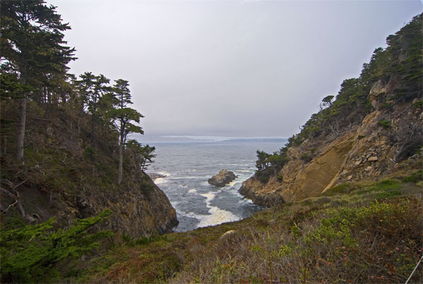 Pt-Lobos-Topside045_edited-