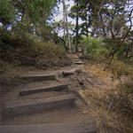 Pt-Lobos-Topside048_edited-